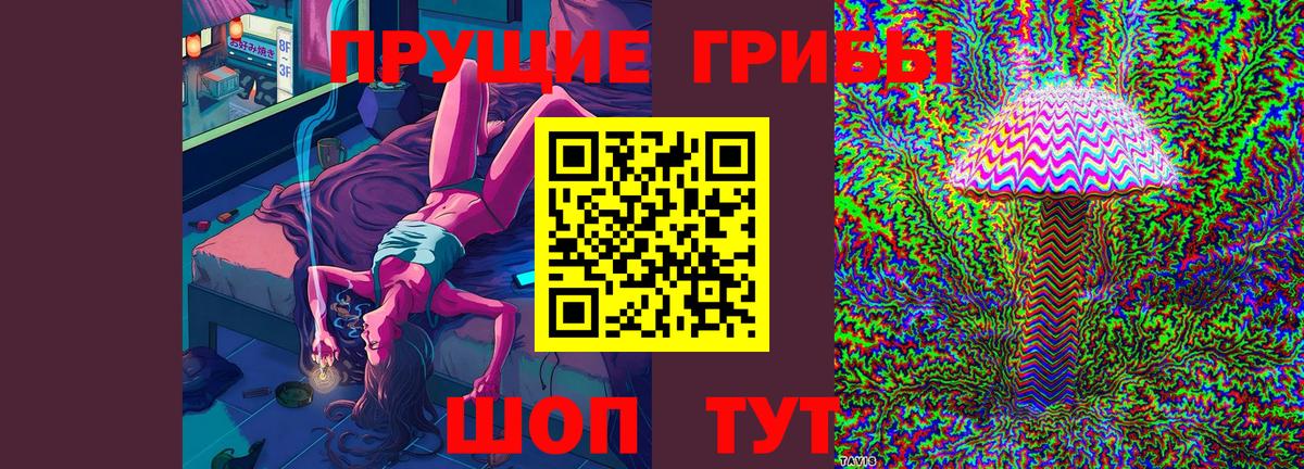 Кириши  Галлюциногенные грибы прущие грибы  Вход с VPN 