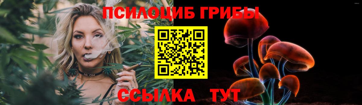 Псилоцибиновые грибы Psilocybine cubensis Кириши